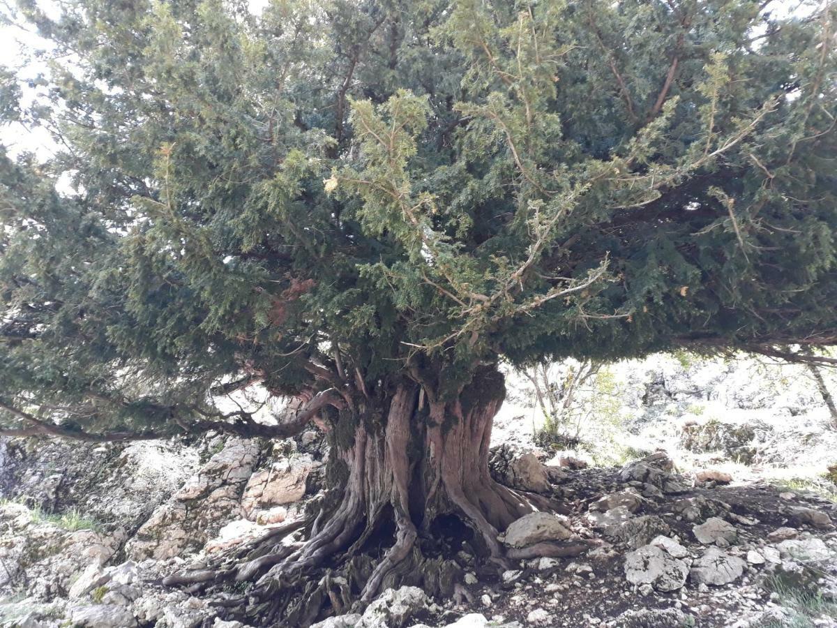 ארויו פריו Apartamentos El Risquillo מראה חיצוני תמונה