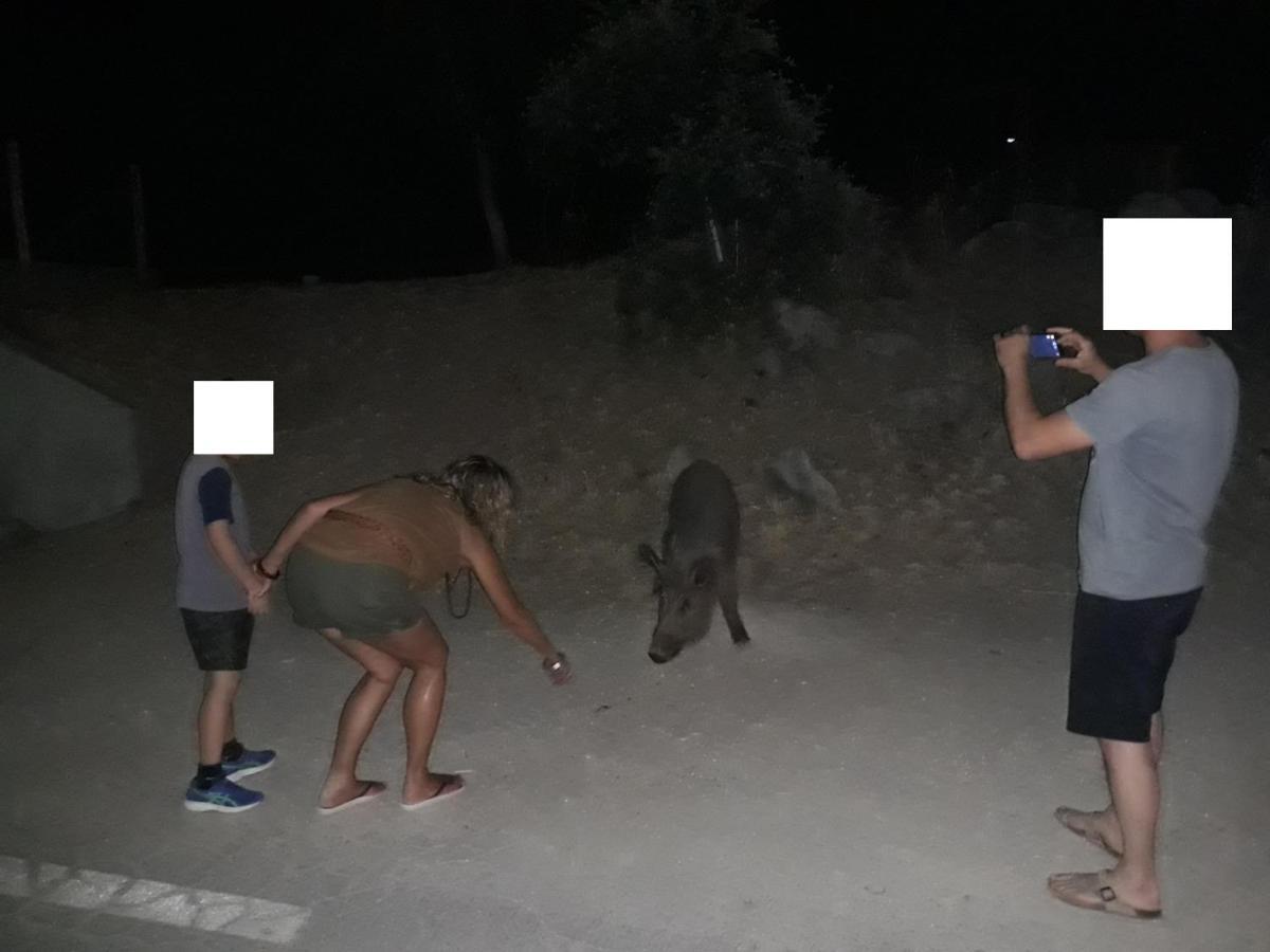 ארויו פריו Apartamentos El Risquillo מראה חיצוני תמונה